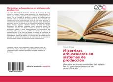 Micorrizas arbusculares en sistemas de producción kitap kapağı