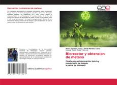 Portada del libro de Bioreactor y obtencion de metano