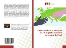 Обложка Enjeux socio-économiques de l'mmigration dans la commune de Pobè
