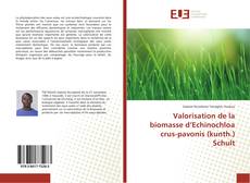 Bookcover of Valorisation de la biomasse d’Echinochloa crus-pavonis (kunth.) Schult
