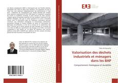 Bookcover of Valorisation des déchets industriels et ménagers dans les BAP