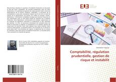 Bookcover of Comptabilité, régulation prudentielle, gestion de risque et instabilit
