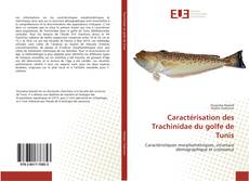 Bookcover of Caractérisation des Trachinidae du golfe de Tunis