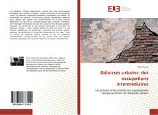 Capa do livro de Délaissés urbains: des occupations intermédiaires 