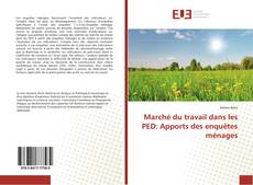 Bookcover of Marché du travail dans les PED: Apports des enquêtes ménages