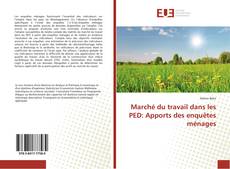 Capa do livro de Marché du travail dans les PED: Apports des enquêtes ménages 