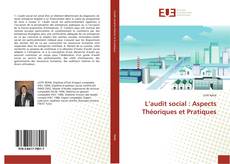 L’audit social : Aspects Théoriques et Pratiques kitap kapağı