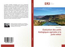 Buchcover von Évaluation des actifs biologiques agricoles à la juste valeur