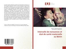Intervalle de naissances et état de santé maternelle au Bénin kitap kapağı