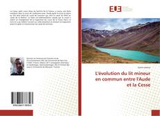 Buchcover von L'évolution du lit mineur en commun entre l'Aude et la Cesse