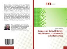 Copertina di Grappes de Calcul Intensif: Déploiement, Exploitation et Performances