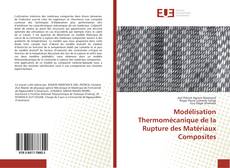 Modélisation Thermomécanique de la Rupture des Matériaux Composites kitap kapağı