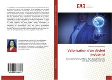 Bookcover of Valorisation d'un déchet industriel