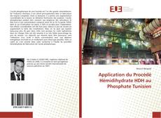 Buchcover von Application du Procédé Hémidihydrate HDH au Phosphate Tunisien