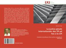 La justice pénale internationale: des TPI ad hoc à la CPI kitap kapağı