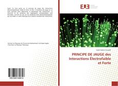 Buchcover von PRINCIPE DE JAUGE des Interactions Électrofaible et Forte