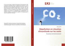 Bookcover of Dépollution en situation d'incertitude sur les coûts
