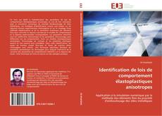 Identification de lois de comportement élastoplastiques anisotropes kitap kapağı