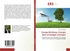 Copertina di Congo Kinshasa, Energie Bois et budget ménager