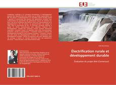Capa do livro de Électrification rurale et développement durable 