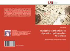 Couverture de Impact du cadmium sur la régulation hydrique chez la Mérione