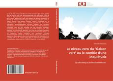 Buchcover von Le niveau zero du "Gabon vert" ou le comble d'une inquiétude