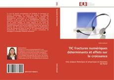 Buchcover von TIC fractures numériques déterminants et effets sur la croissance