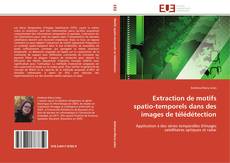 Buchcover von Extraction de motifs spatio-temporels dans des images de télédétection