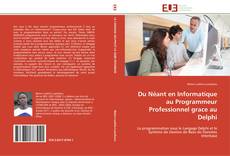 Buchcover von Du Néant en Informatique au Programmeur Professionnel grace au Delphi
