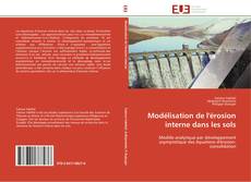 Buchcover von Modélisation de l'érosion interne dans les sols
