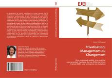 Buchcover von Privatisation: Management du Changement
