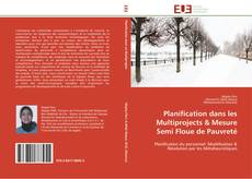 Portada del libro de Planification dans les  Multiprojects & Mesure Semi Floue de Pauvreté