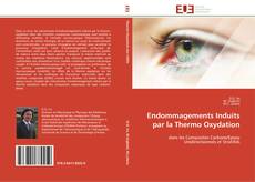 Buchcover von Endommagements Induits par la Thermo Oxydation
