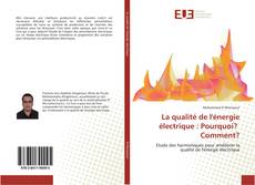Bookcover of La qualité de l'énergie électrique : Pourquoi? Comment?