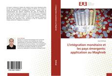 Copertina di L'intégration monétaire et les pays émergents: application au Maghreb