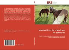 Intoxications du cheval par les séneçons kitap kapağı