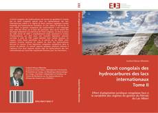 Copertina di Droit congolais des hydrocarbures des lacs internationaux  Tome II