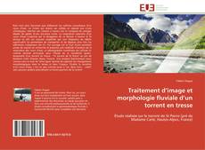 Buchcover von Traitement d’image et morphologie fluviale d’un torrent en tresse