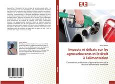 Couverture de Impacts et débats sur les agrocarburants et le droit à l'alimentation