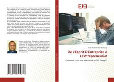 Couverture de De L'Esprit D'Entreprise A L'Entrepreneuriat