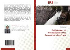 Bookcover of Pathologies et Réhabilitation Des Évacuateurs De Crues