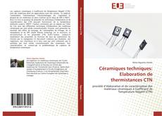 Bookcover of Céramiques techniques: Elaboration de thermistances CTN