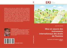 Buchcover von Mise en oeuvre des instruments internationaux des droits de l'homme