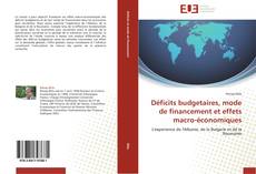 Capa do livro de Déficits budgetaires, mode de financement et effets macro-économiques 