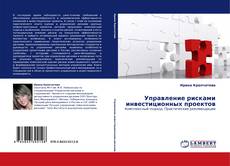 Обложка Управление рисками инвестиционных проектов