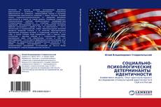 Capa do livro de СОЦИАЛЬНО-ПСИХОЛОГИЧЕСКИЕ ДЕТЕРМИНАНТЫ  ИДЕНТИЧНОСТИ 