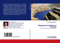 Недропользование в России kitap kapağı