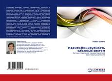 Bookcover of Идентифицируемость сложных систем