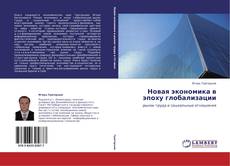 Bookcover of Новая экономика в эпоху глобализации