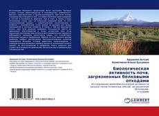 Copertina di Биологическая активность почв, загрязненных белковыми отходами
